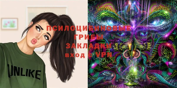индика Волоколамск