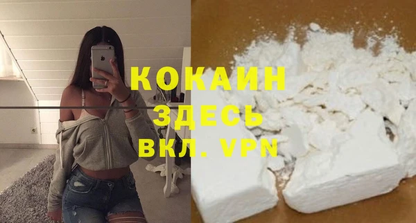 индика Волоколамск