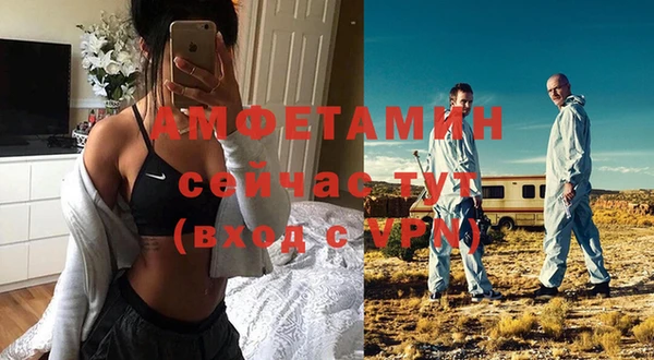 индика Волоколамск