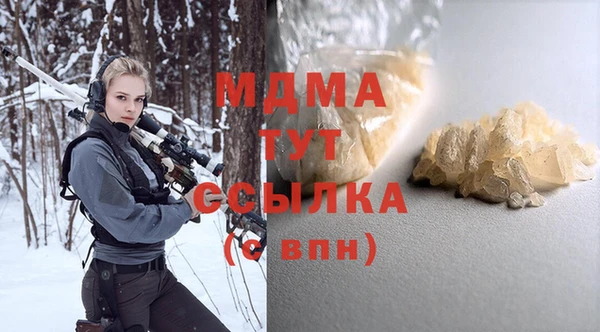 индика Волоколамск