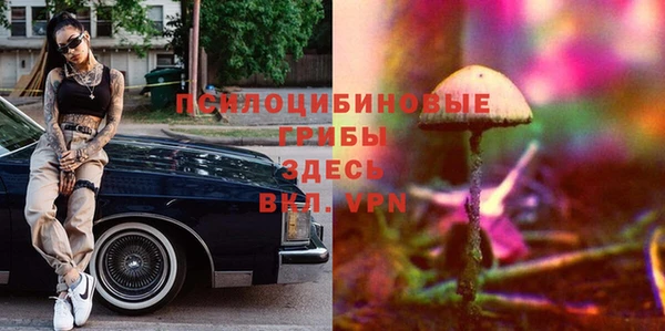 индика Волоколамск