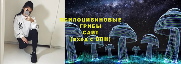 индика Волоколамск