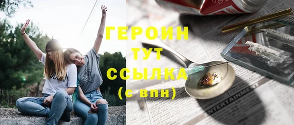 индика Волоколамск