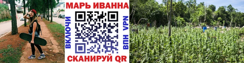 Каннабис сатива Лосино-Петровский